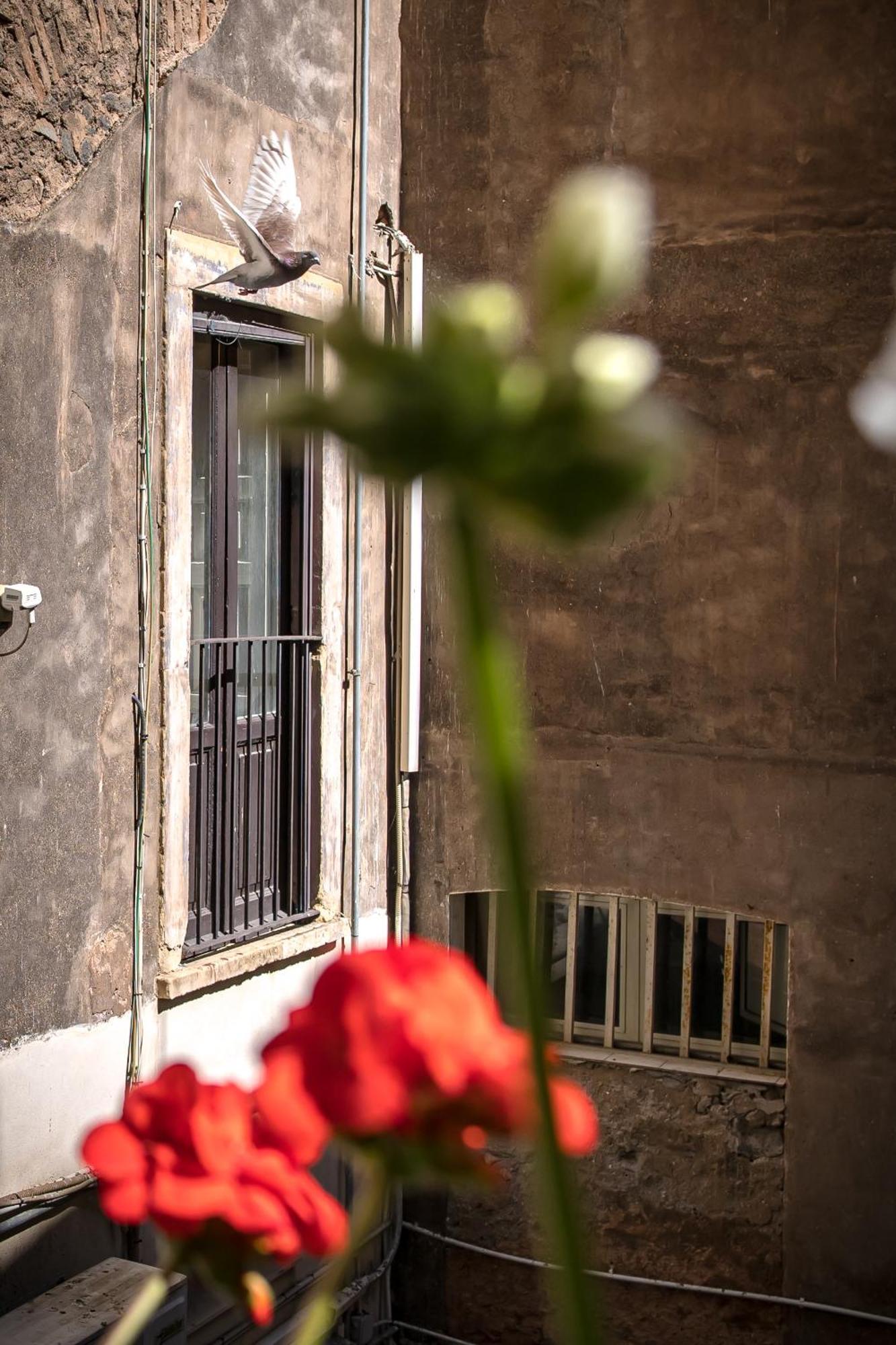 Zagara Luxury Home Catania Exterior photo